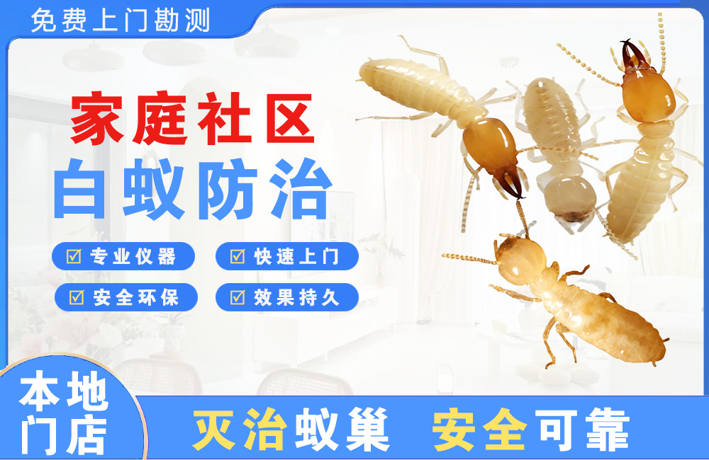 姜堰家庭社区白蚁防治
