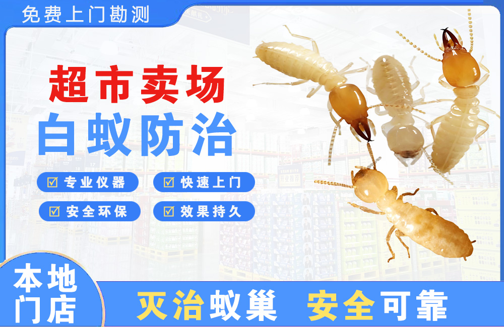 姜堰超市卖场白蚁防治