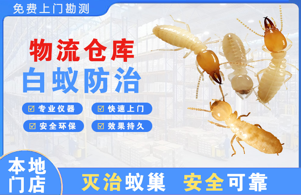 姜堰物流仓库白蚁防治