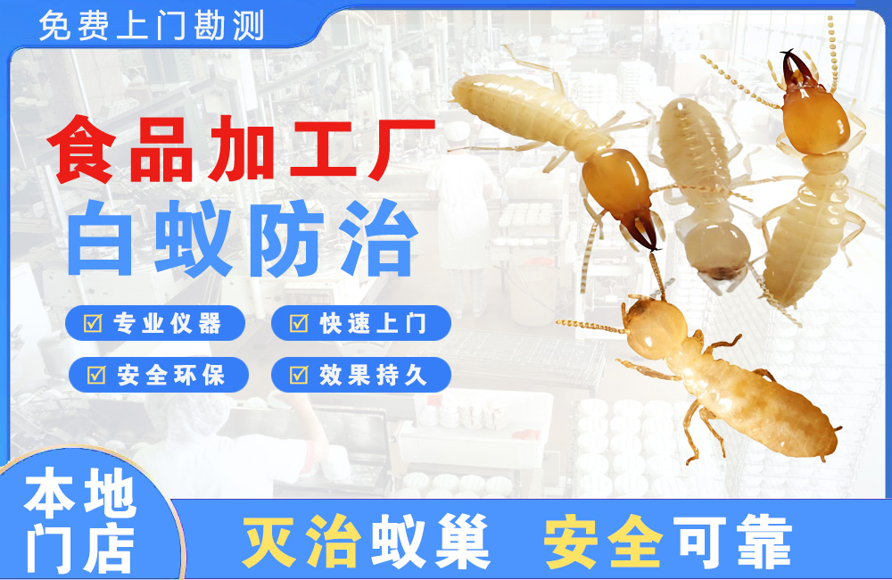 姜堰食品加工厂白蚁防治