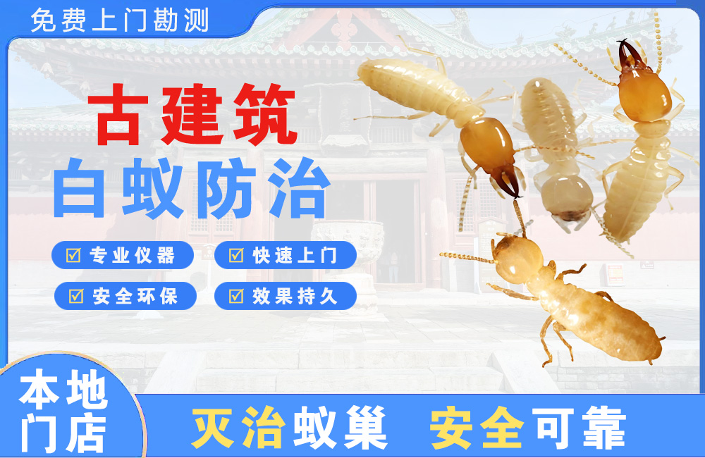 姜堰古建筑白蚁防治