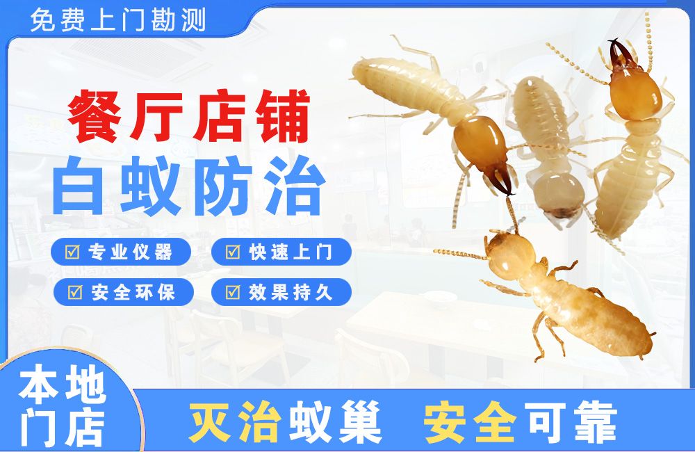 姜堰餐厅店铺白蚁防治